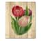 Designart - Beautiful Tulip Flowers - Traditional Print on Natural Pine Wood